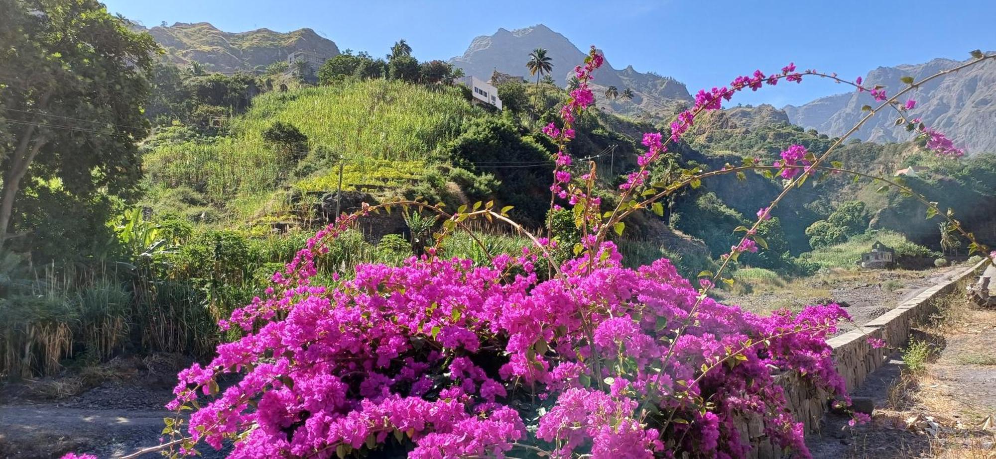 Casa Au Bonheur Des Randonneurs Διαμέρισμα Ponta Do Sol Εξωτερικό φωτογραφία